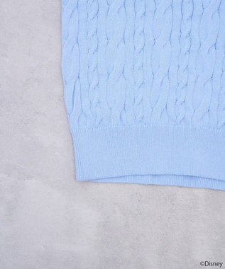 earth music&ecology Ｄｉｓｎｅｙ×Ｓｅｉｊｉ　Ｍａｔｓｕｍｏｔｏ刺繍ニット Sax