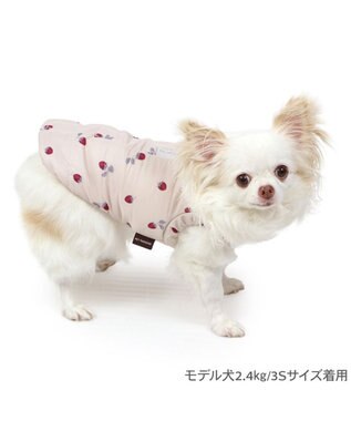 PET PARADISE ペットパラダイス 遠赤外線 背中開き 綿入りベスト 《いちご》 超小型犬 小型犬 ホワイト