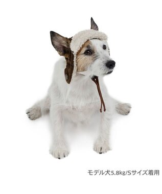 PET PARADISE ペットパラダイス フライトハット 小型犬 ブラウン