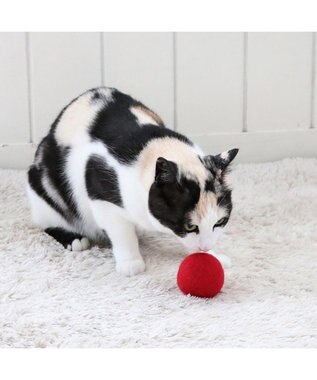PET PARADISE ペットパラダイス 猫 羊毛 ボール 【単品】 レッド