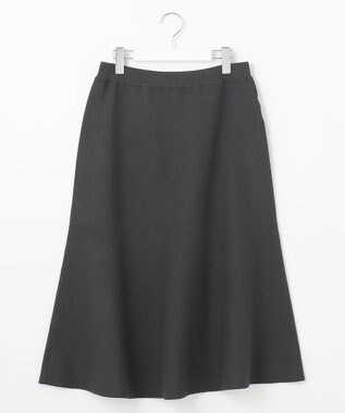 J.PRESS LADIES 【洗える】VIS/PE MILANO ニット スカート グレー系