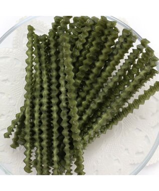 PET PARADISE デンタルガム スピルリナ 100g 国産 -