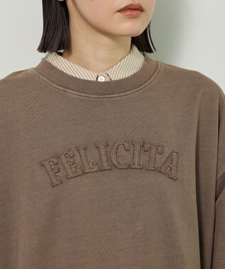 Green Parks ピグメントロゴ刺繍裏毛プルオーバー Brown