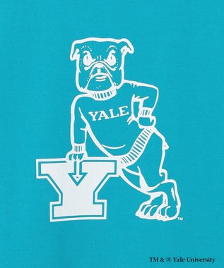 J.PRESS YORK STREET 【YALE別注】【UNISEX】ブルドッグ プリント Tシャツ ブルー系