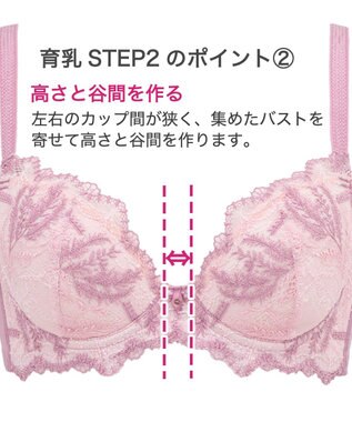 BRADELIS New York 【BRADELIS New York】ベルステップ２ブラ23S2 高さを出してシャープなバストをつくる ピンク