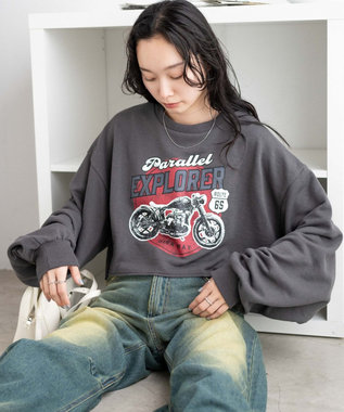 WEGO ヴィンテージライクショートスウェット