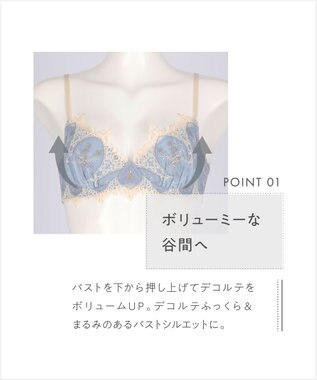 AMPHI ブラジャー 谷間メイク カップ上辺が浮きにくい Gカップまで対応 大きいサイズ 【Glama-Rich グラマリッチ ボリュームUPタイプ】 ブラ BYJ306 アンフィ／ワコール サックス