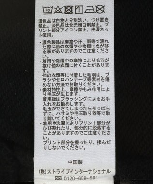 Green Parks １０ｔｈベイマックス／ポスタープルオーバー Black