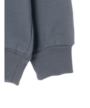 Green Parks ムジークタイガー／裏起毛刺しゅうフーディー Blue Gray