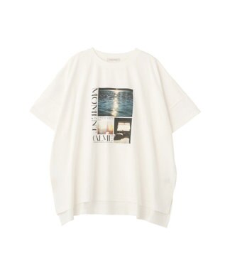 Green Parks アソート柄ＢｉｇサイズＴシャツ C