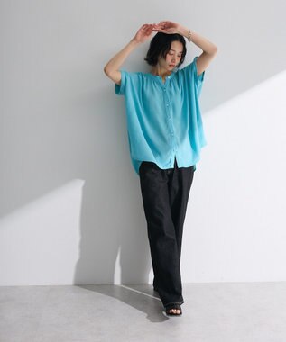 Green Parks Ｉ　レーヨンクレープブラウス Black