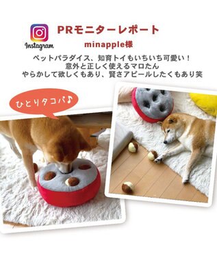 PET PARADISE ペットパラダイス ノーズトイ  《たこやき / 苺ケーキ》単品 たこやき
