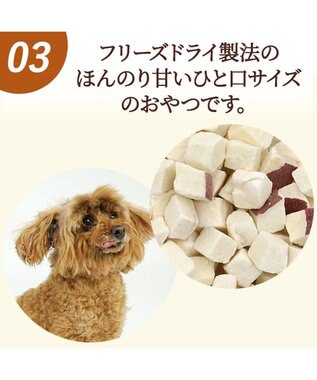PET PARADISE ペットパラダイス フリーズドライ さつまいも 0