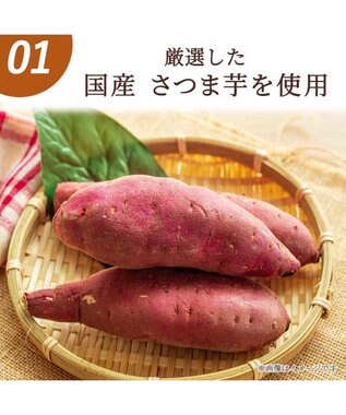 PET PARADISE ペットパラダイス フリーズドライ さつまいも 0