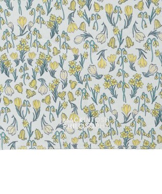 MOONBAT 【シリーズ累計22万本突破】MACKINTOSH PHILOSOPHY 遮光 晴雨兼用 折りたたみ日傘 軽量 ボーダー イエロー