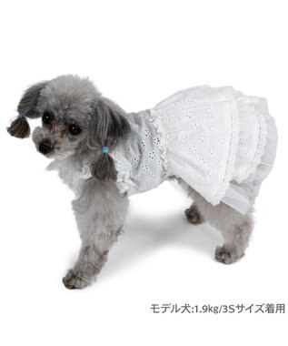 PET PARADISE ペットパラダイス アイレット レース ワンピース 小型犬 ホワイト