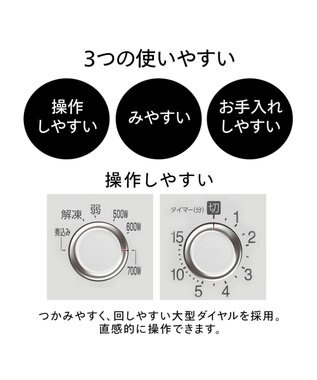 YAMATO テーブル＆キッチン 【TWINBIRD】電子レンジ  ホワイト  DR-D419W5 (50Hz：東日本にお住まいの方用) ホワイト