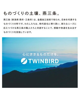 TWINBIRD】電子レンジ ホワイト DR-D419W5 (50Hz：東日本にお住まいの 