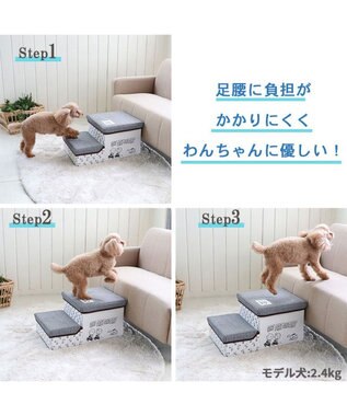 PET PARADISE ペットパラダイス スヌーピー ２段 ステップ 収納付きフレンズ柄 白~オフホワイト
