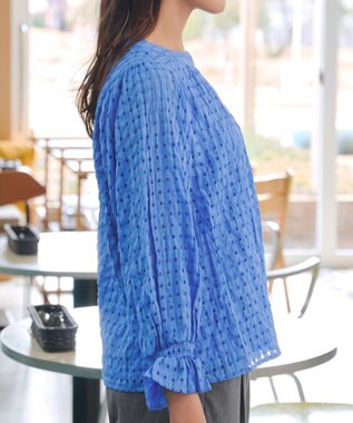 Tiaclasse シアーチェックブラウス ブルー