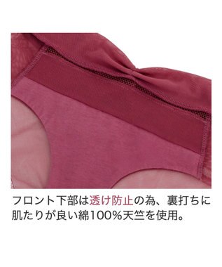 BRADELIS New York 【BRADELIS Me】 LiftMeUpショーツ カシス