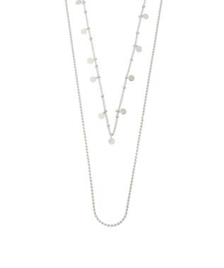 Green Parks ｅｖｅｒｙ　ｗａｌｋ．２本セットロングネックレス Silver