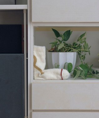 TRICOTE シャギーラインソックス 80IVORY