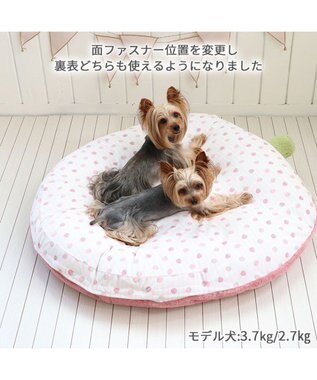 PET PARADISE ネット店限定 ペットパラダイス くすみ苺 クッション L ピンク