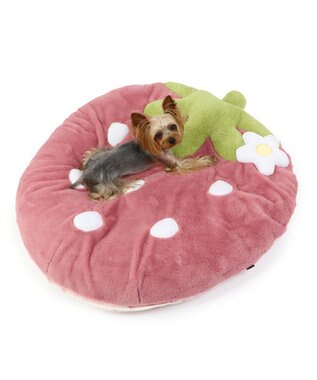 PET PARADISE ネット店限定 ペットパラダイス くすみ苺 クッション L ピンク