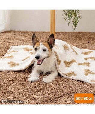 PET PARADISE ペットパラダイス くまちゃん織り ボア ブランケット ホワイト×ブラウン