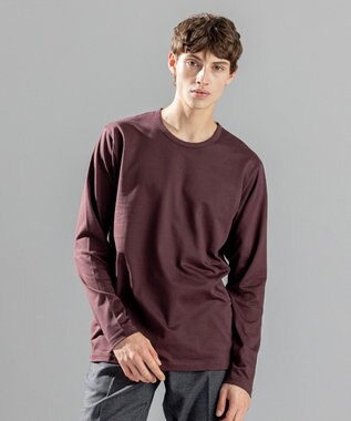 JOSEPH HOMME スビンソフトジャージー　長袖カットソー ブラウン系