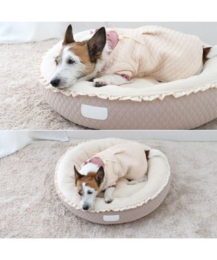 PET PARADISE ペットパラダイス キルティング ワンピース 小型犬 -