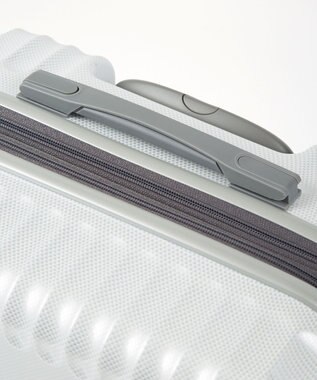 ACE BAGS & LUGGAGE ace. パリセイドZd Lサイズ 88～103L 06817 エース ホワイトカーボン