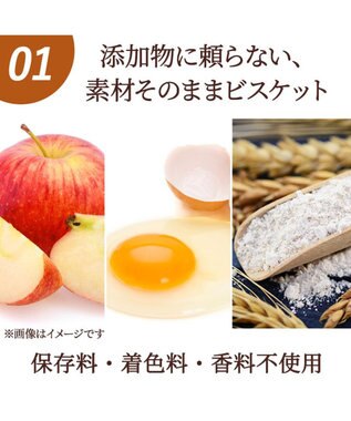 PET PARADISE ペットパラダイス 国産 りんご ビスケット 100g 0
