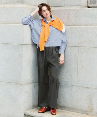 ANY 【POLO BCS別注】プレッピークロップドシャツ ブルーストライプ