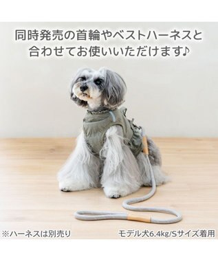 PET PARADISE ペットパラダイス ロープ リード グレー　ＳＳ～ＳＭ グレー