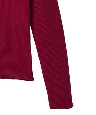 earth music&ecology 【イージーケア】【洗濯機洗い可】レンチング(TM)エコヴェロ(TM)(リブタートル) Red