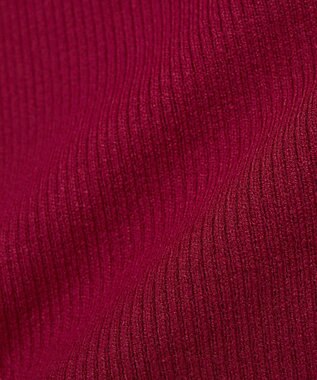 earth music&ecology 【イージーケア】【洗濯機洗い可】レンチング(TM)エコヴェロ(TM)(リブタートル) Red