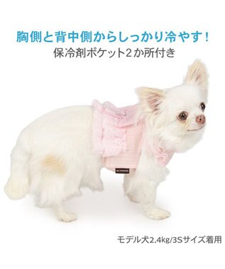 PET PARADISE ペットパラダイス レース ポットクールベスト 小型犬 ピンク