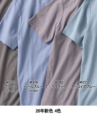 GOTAIRIKU キングサイズ登場【サラサラ/高通気】仕事で着られる 鹿の子 BIZ Tシャツ ダークブラウン/WEB限定/26年新色