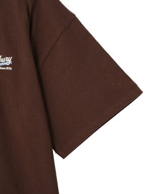 AMERICAN HOLIC サガラ刺繍Ｔシャツ Brown