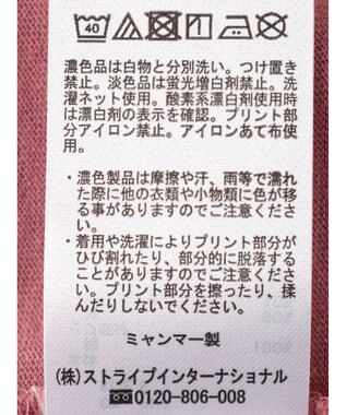 Green Parks ２段カレッジロゴボックスＴシャツ Pink