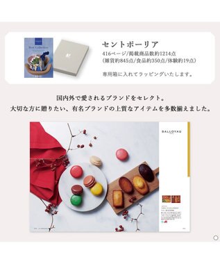 antina gift studio ベストコレクション ＜Saintpaulia-(セントポーリア)＞ -