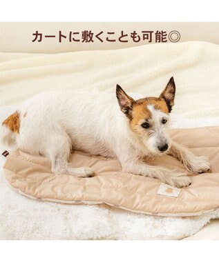PET PARADISE ペットパラダイス くまちゃん フード付 防寒 ブランケット 大 ベージュ
