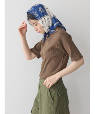 AMERICAN HOLIC 抗菌防臭針抜きテレコカットプルオーバー Brown