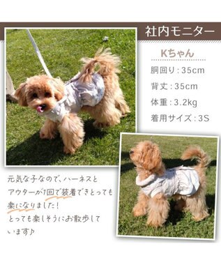 PET PARADISE ペットパラダイス 苺刺繍 アウターハーネス 小型犬 オフホワイト