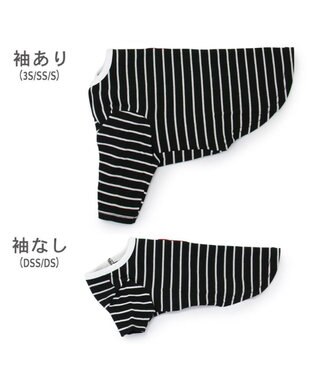 PET PARADISE J.PRESS フライス Tシャツ 《ボーダー》 小型犬 ボーダー