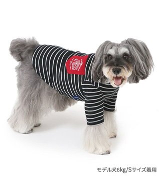 PET PARADISE J.PRESS フライス Tシャツ 《ボーダー》 小型犬 ボーダー