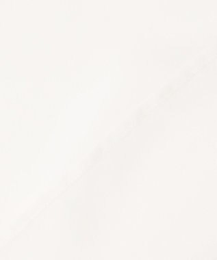 Feroux 【洗える】ベーシックシアー シャツ ホワイト系