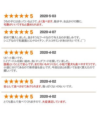 PET PARADISE ペットパラダイス  国産 ドッグフード ビオキッチン 3kg -